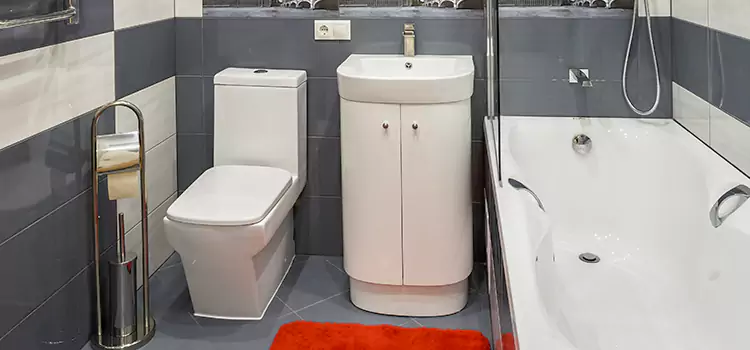 Hansgrohe Shaving Mirror New Brunswick